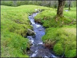 Dans la Guerre de clans, cycle 2, livre 4, qui connaît-on de la tribu de l'Eau Vive ?