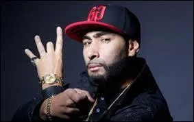 Qu'a chanté La Fouine en 2015 ?