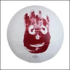 Dans quel film peut-on voir Wilson ?