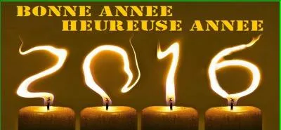 Il y a quelques heures, nous avons changé d'année, nous sommes en 2016, que pourrai-je vous dire ?