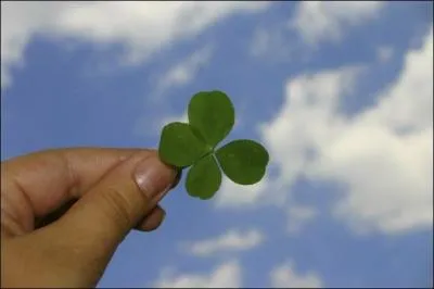 Voici un joli porte-bonheur ! Que symbolisent ses feuilles ?