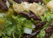 Quiz Des insectes comme plats  manger
