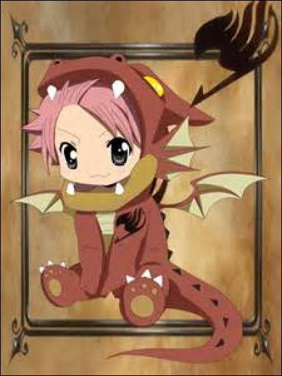 Natsu est un chasseur de dragons.