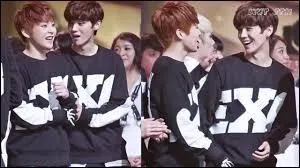 Un membre a souvent les cheveux multicolores, qui ?