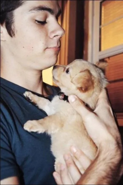 Quel est le numéro de Stiles au lacrosse ?