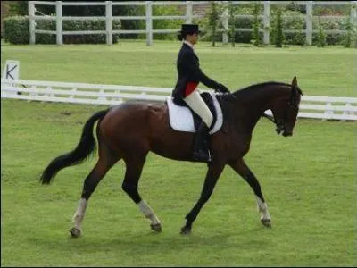 Comment s'appelle cette discipline ?