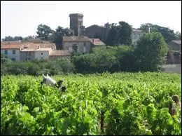 Nous partons à la découverte de Rustiques. Commune de l'aire urbaine de Carcassonne, elle se situe en région ...