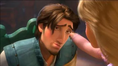 Flynn Rider est un...