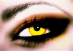 Quelle est la couleur de cet il ?