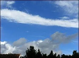 Quel est ce type de cirrus ?