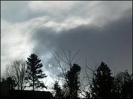 Ces nuages apparaissent pendant que les très basses couches de l'atmosphère sont très humides. Quel est ce nuage ?