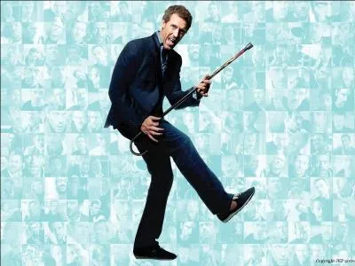 À qui le personnage de House ressemble-t-il ?