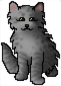 Comment se nommait-il, quand il n'était encore qu'un chaton ?