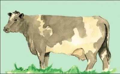 Eh, biloute ! Moi aussi, ch'en suis une de mixte ! Malgr mon nom, che ne suis pas une dbutante, mais une bleue ...