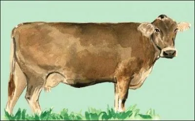 Moi aussi, je porte un nom de couleur et pas de cornes ! Z'avez remarqu ?