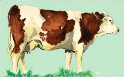 Alors l, c'est le bouquet de trfle ! Ils m'ont donn un nom de saucisse... de porc, beurk ! Mais lequel ?