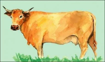  On aurait pu l'appeler ainsi : Lucie / Elle venait pas des Somalies, Lucie / dans un camion plein de bovids / qui venaient tous de leur plein gr / garnir les assiettes de Paris . Alors ?