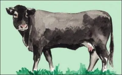 Spécialiste de l'entrecôte bordelaise, je suis née et porte le nom des habitants d'une ville de la région.