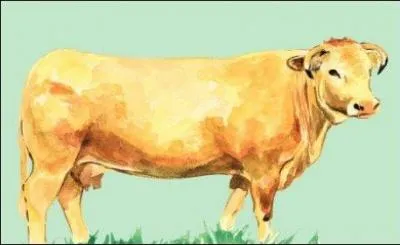 Même si les brunes ne comptent pas pour des prunes, il ne faudrait pas nous prendre pour des tartes, nous autres, les ---- ----- (Complétez ! )