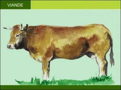 Vous pourrez m'entendre dans les prés chanter "Partenaire particulier, pour ----- particulière" ! (Complétez ! )