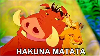 Que signifie  Hakuna matata  ?