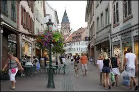 Nous déambulons dans les rues de Haguenau. Ville de naissance du pilote Sébastien Loeb, connue pour sa forêt, elle se situe en région ...