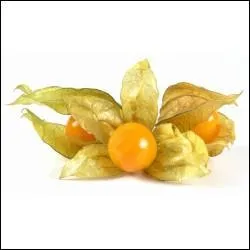 Je finirai par ce fruit aussi dénommé "cerise d'hiver" ou "lanterne japonaise". Ce fruit originaire des Andes appartient à la même famille que la tomate et l'aubergine et a un goût sucré et acidulé. Quel est son nom ?