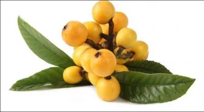 Petite pomme de forme ovale, de couleur jaune-orange et à la chair au goût aigre-doux ou sucré, on m'appelle aussi bibace ou loquat. Je suis :