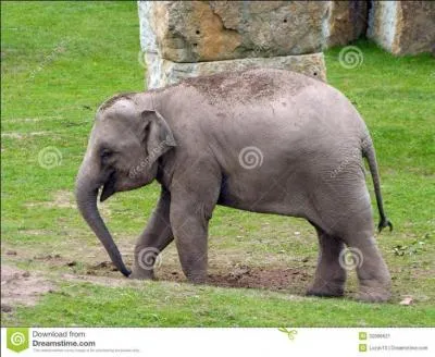 Si vous avez réussi à trouver celui d'avant, celui-là est donc un...