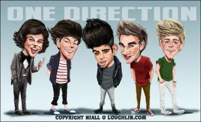 Voici les One Direction ! Lequel est Zayn Malik ?