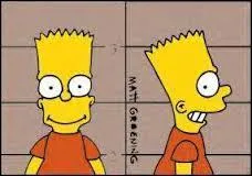 En effet, le QI semblant appartenir à Bart est de...