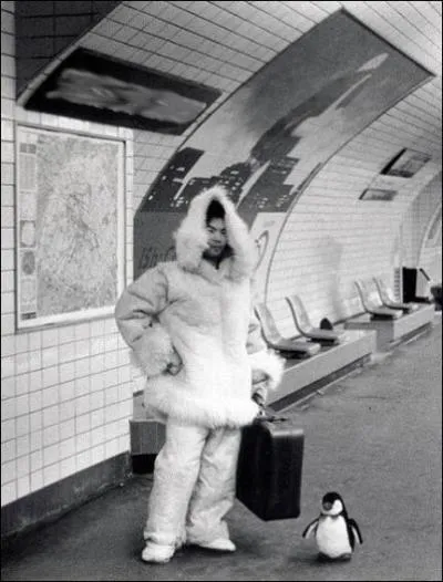 Il y a des petits matins o&ugrave; l'on se retrouve comme un pingouin hagard... (Trouvez la suite ! )