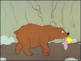 De quoi s'occupent-ils ?