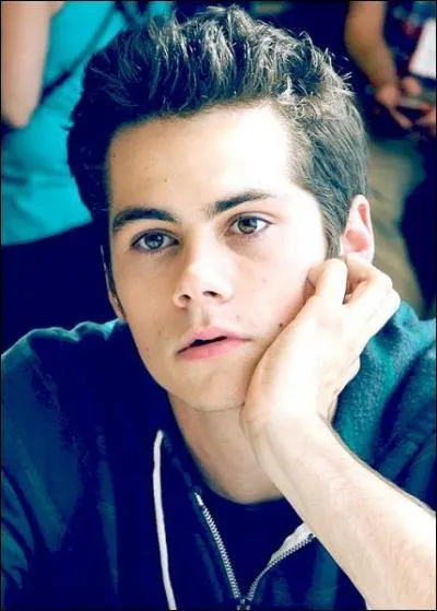Comment s'appelle l'acteur qui interprète le sarcastique Stiles Stilinski ?