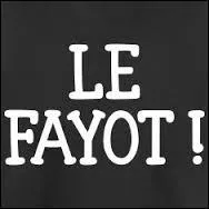 Qui est le nouveau fayot de l'émission ?