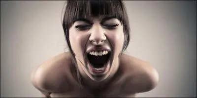 Qui a écrit "Le bruit et la fureur" ?