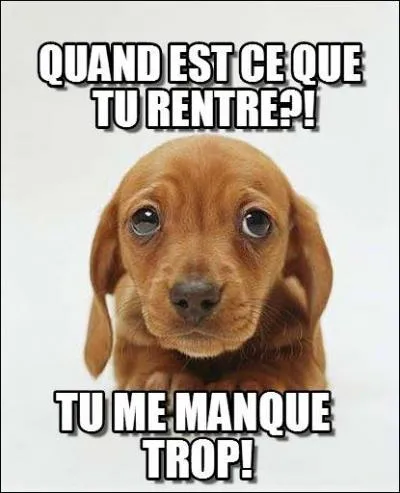 Dans cette phrase, entendez-vous le nom d'une ville française se situant au nord : Quand rentreras-tu ?