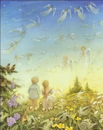 Quelles fleurs peut-on admirer sur l'image ?