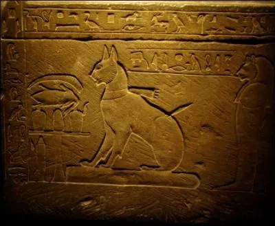 Depuis combien de temps pense-t-on que le chat a été apprivoisé ?