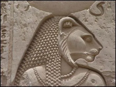 Où naquit le premier élevage de chats domestiques à grande échelle ?