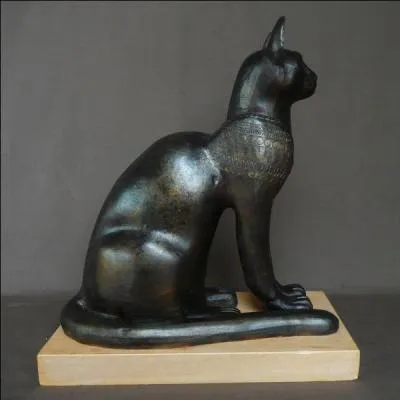 En Egypte antique, la mort du chat de maison était un événement tragique. Que faisaient en signe de deuil les membres de la famille ?