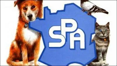La SPA vient de fêter ses ... .