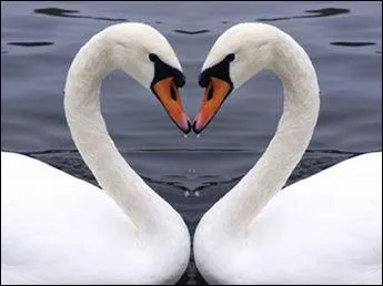 Qui est l'auteur de cette citation amoureuse , " Un amour débordant, c'est un torrent qui sort de son lit pour entrer dans un autre." ?