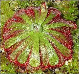 Et celle-ci, comment s'appelle-t-elle ?