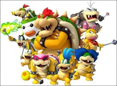 Qui sont les 3 Koopalings les plus vieux ? (excepté Bowser Jr)