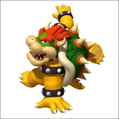 Qui est Bowser ?