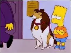 À quel personnage ce chien appartient-il ?