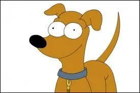 Par qui a-t-il été découvert ?