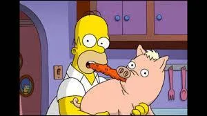 En quelle année est-il découvert en France ?