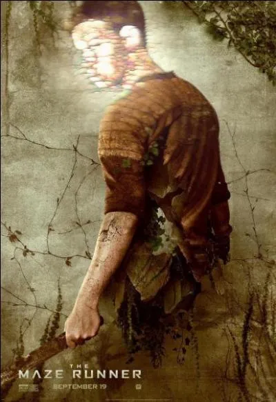 Il n'aime pas Thomas et se méfie de lui. Il n'hésite pas à l'offrir lui et Teresa aux griffeurs. Qui est donc cet arrogant personnage ?